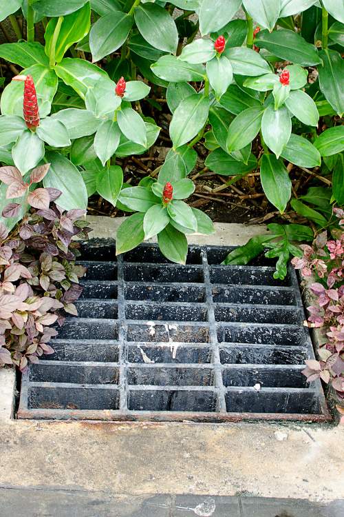 French Drain Solutions