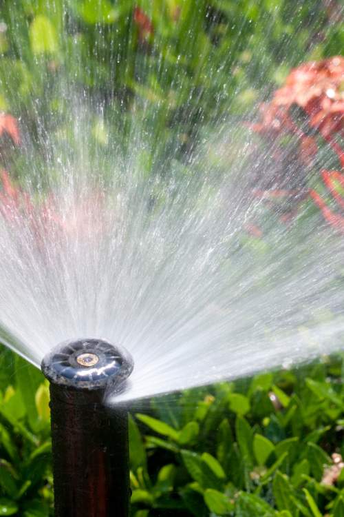 Garden Sprinklers Services in Danbury, CT