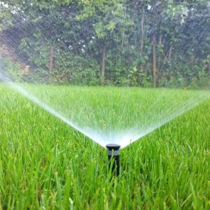 Garden Sprinklers